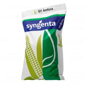 Kukurydza SY Amfora Syngenta 50 tys.