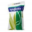 Kukurydza SY Marimba Syngenta 50 tys.