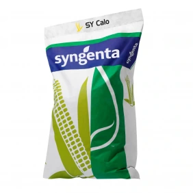 Kukurydza SY Calo Syngenta 50 tys.