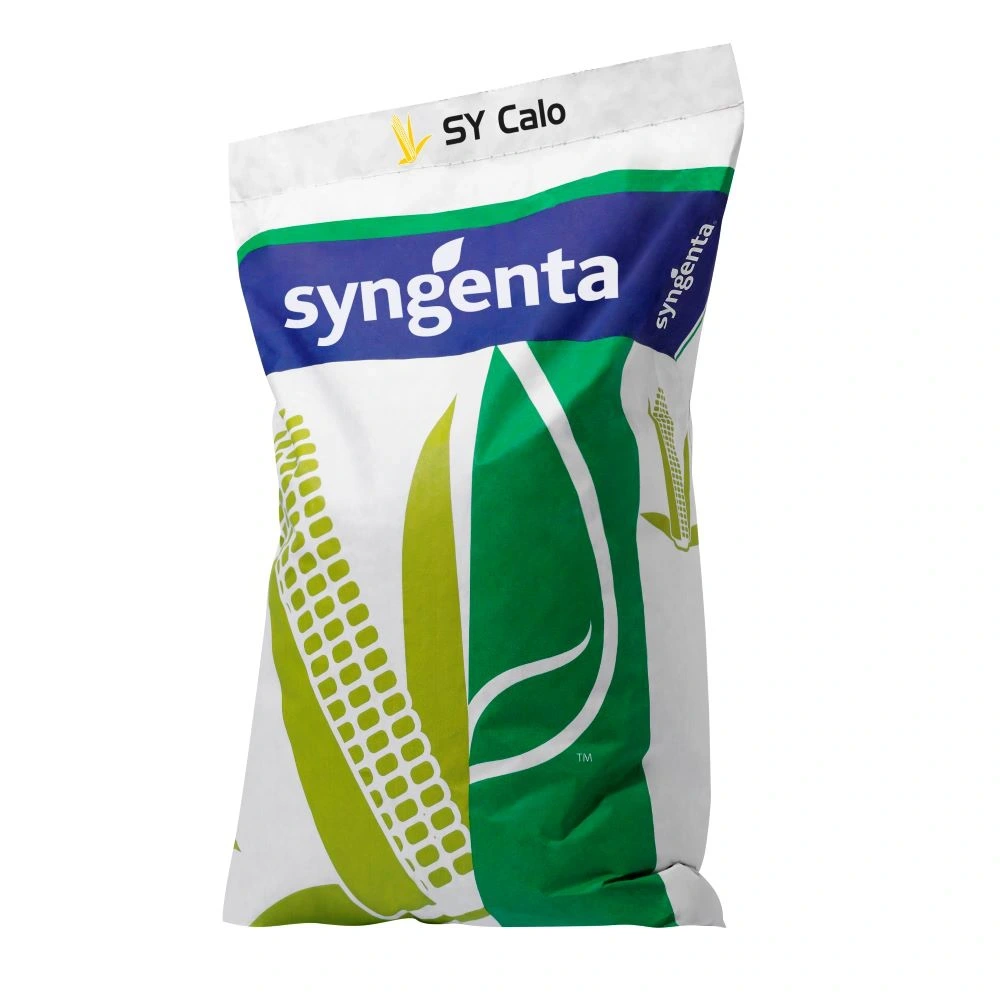 Kukurydza SY Calo Syngenta 50 tys. Kukurydza SY Calo Syngenta 50 tys.
