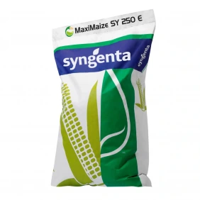 Kukurydza MaxiMaize Syngenta 50 tys.