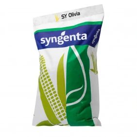 Kukurydza SY Olivia Syngenta 50 tys.