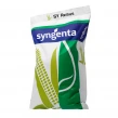 Kukurydza SY Remus Syngenta 50 tys.