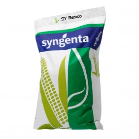 Kukurydza SY Remco Syngenta 50 tys.