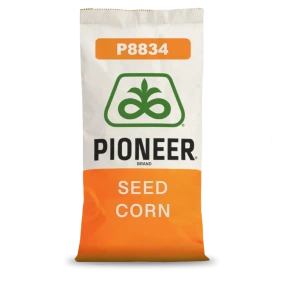 Kukurydza P8834 Pioneer 80 tys.