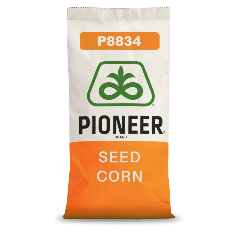 Kukurydza P8834 Pioneer 80 tys. Kukurydza P8834 Pioneer 80 tys.