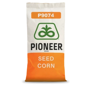 Kukurydza P9074 Pioneer 80 tys.