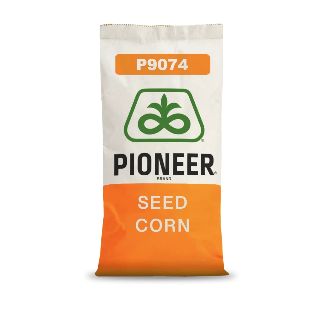 Kukurydza P9074 Pioneer 80 tys.