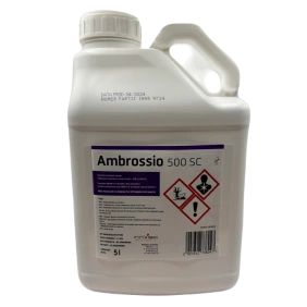 Ambrossio 500 SC Innvigo 5L