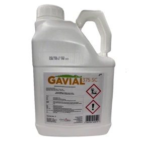Gavial 375 SC Innvigo 5L