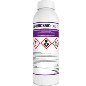 Ambrossio 500 SC Innvigo 1L